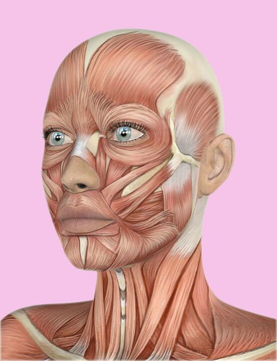 Human face tissue