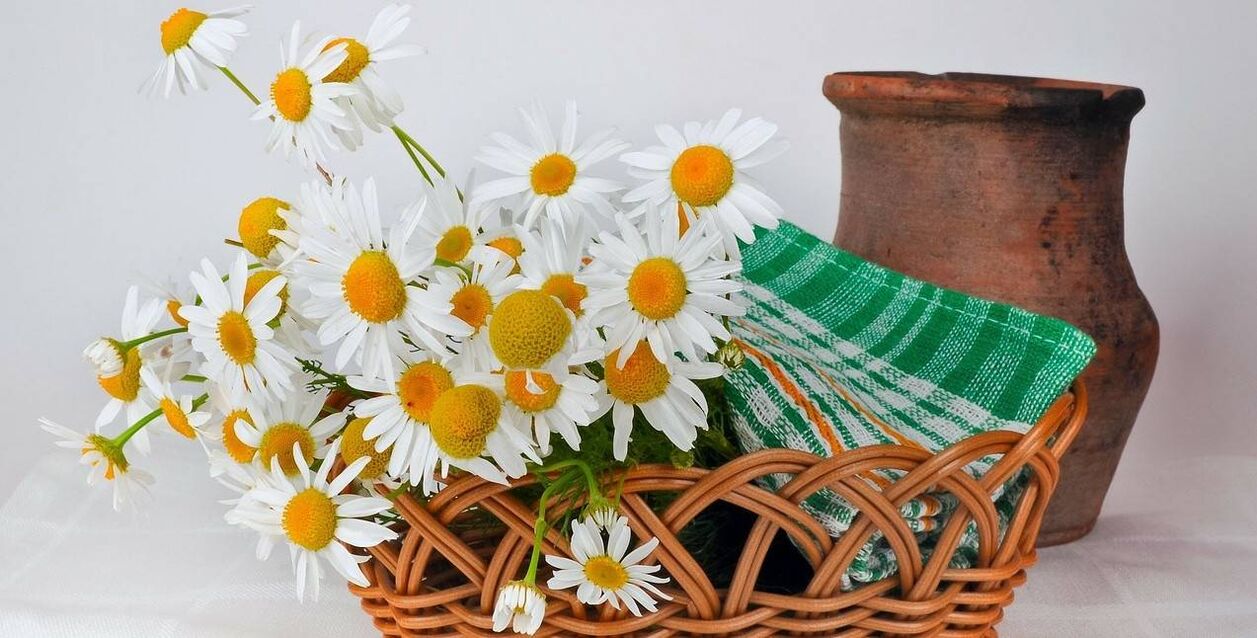 how to make face paint from chamomile flowers